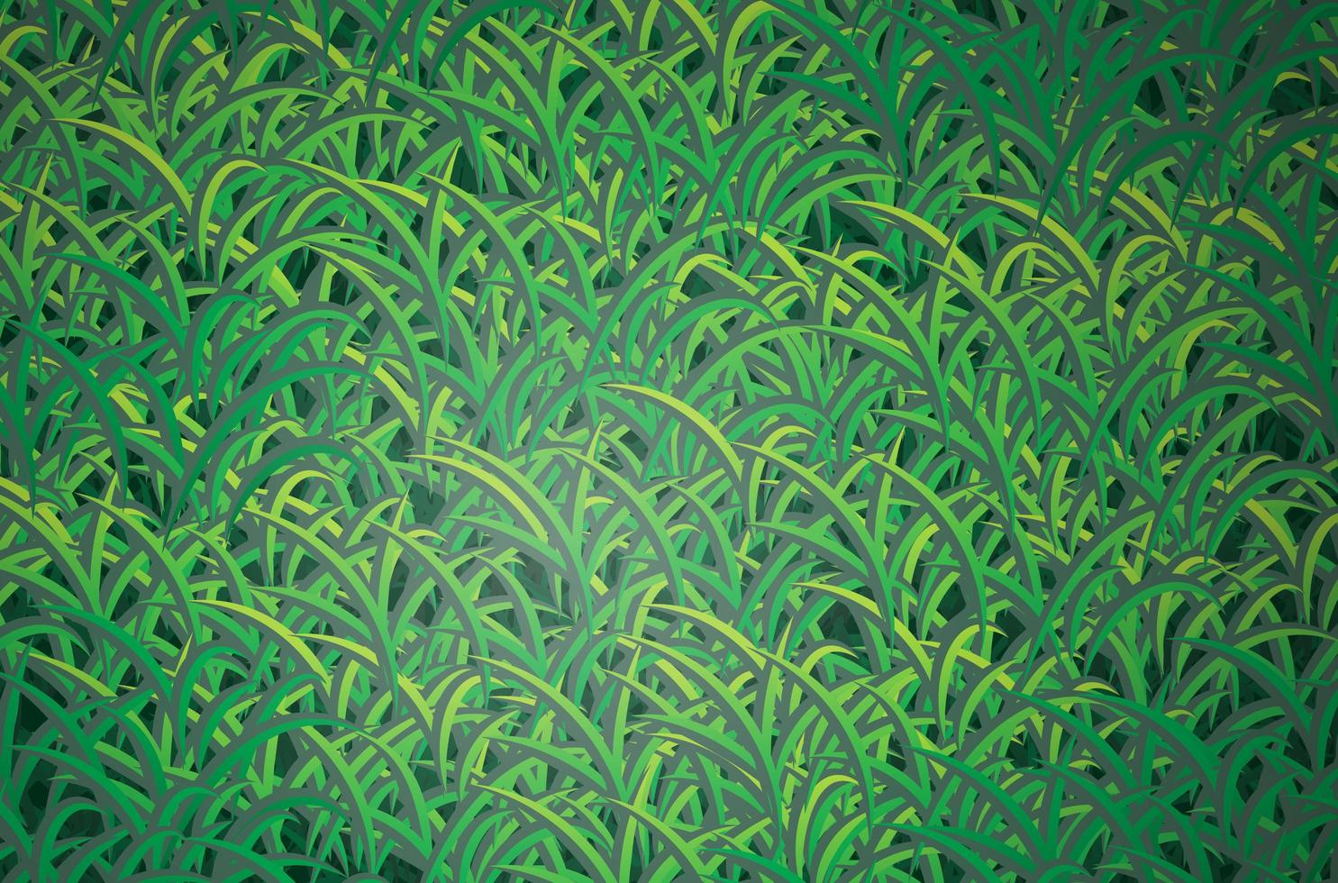 Green Grass Background vector