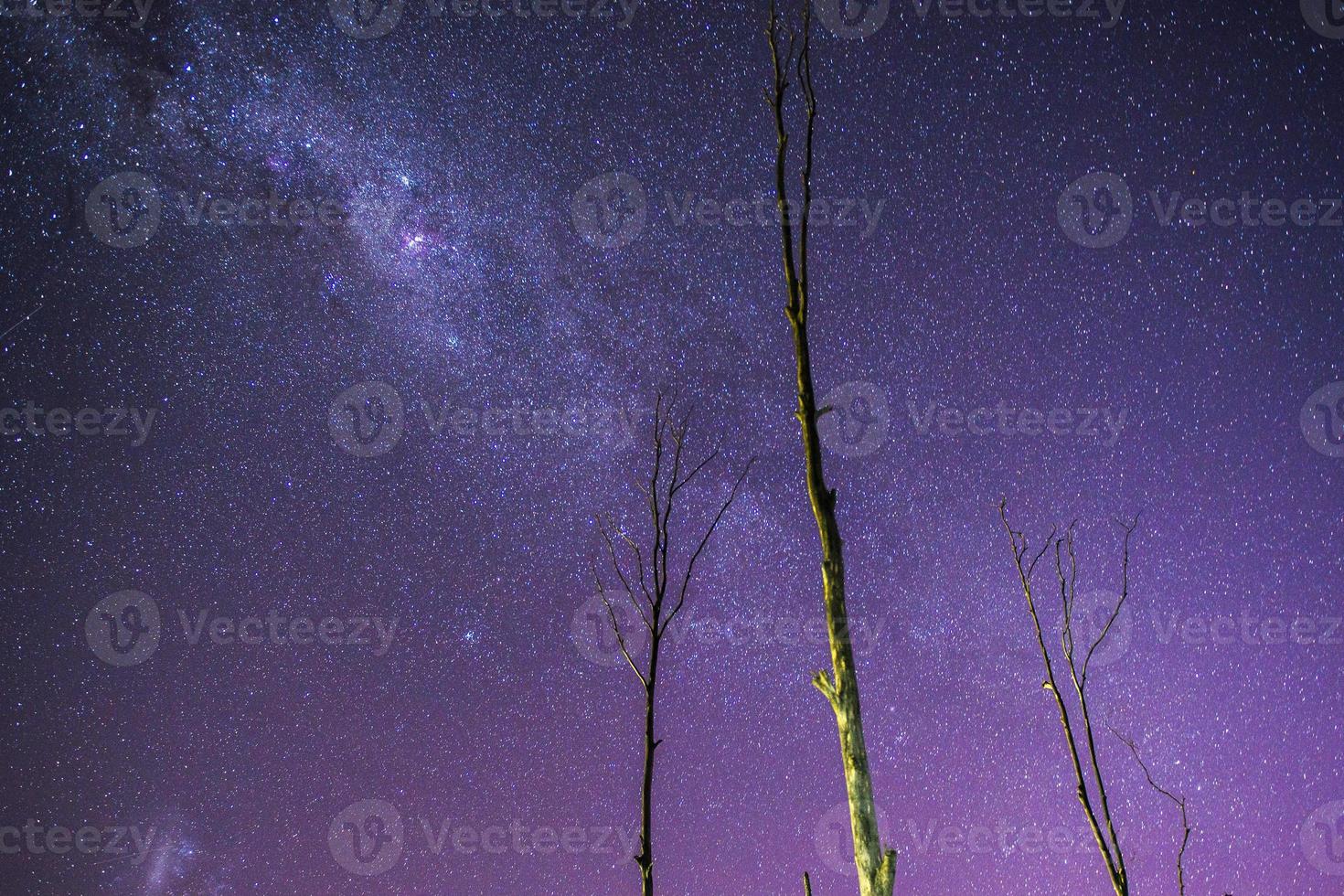 Stars over Queensland photo