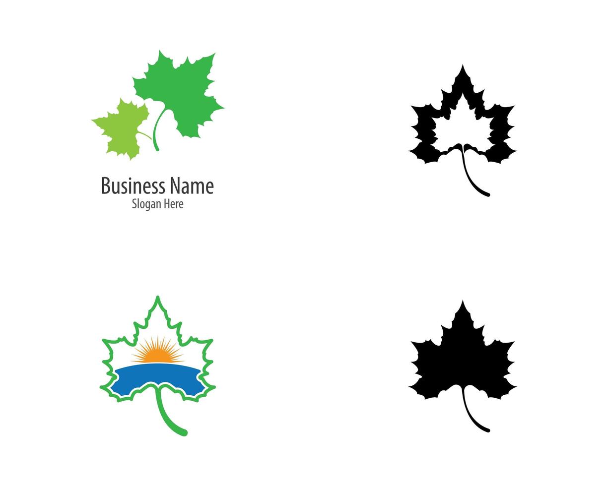 Maple leaf logo set vector