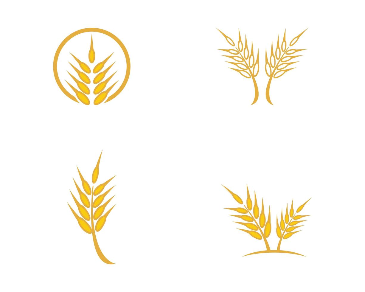 Wheat icon set vector