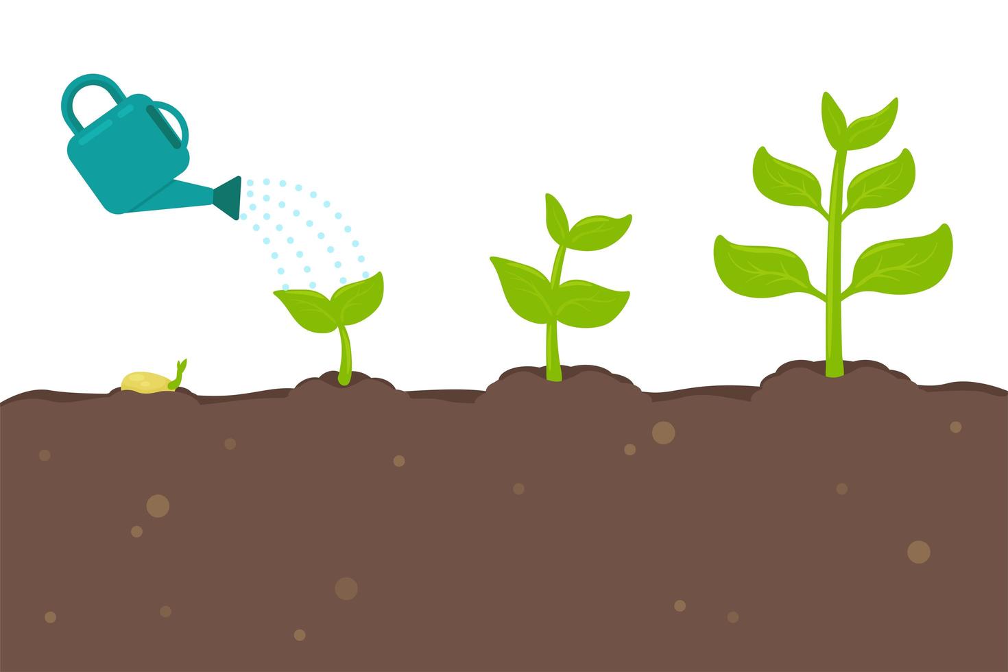 Plants Sprouting from Seeds 1082716 Vector Art at Vecteezy