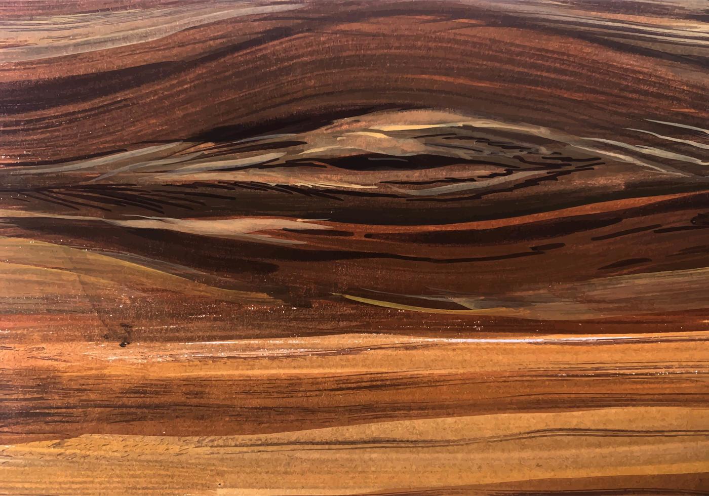 Abstract Cedar Knot Swirl Wood Texture vector
