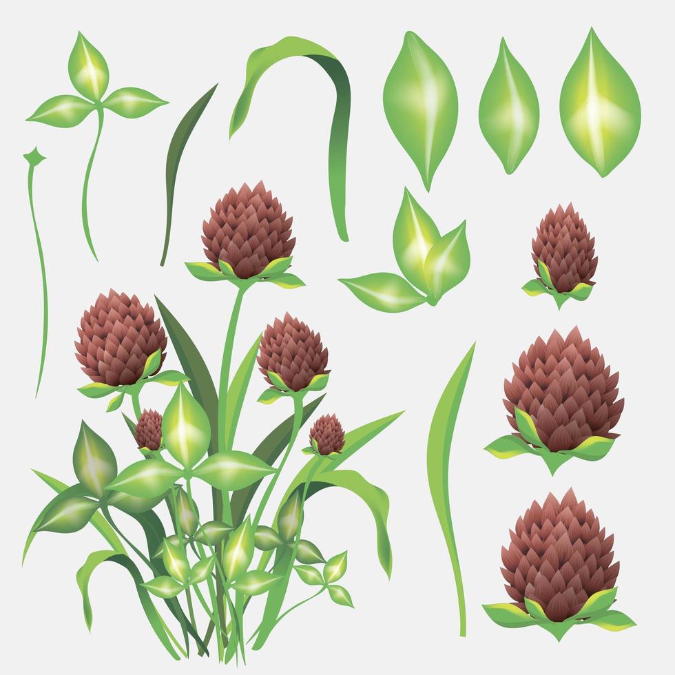 Set of drawing clover leaves and flowers vector