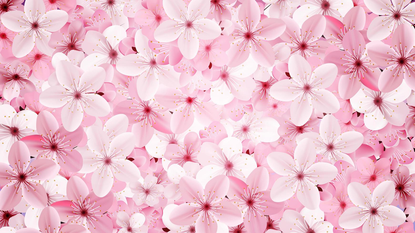 Pink Blossoming pink sakura flowers  vector