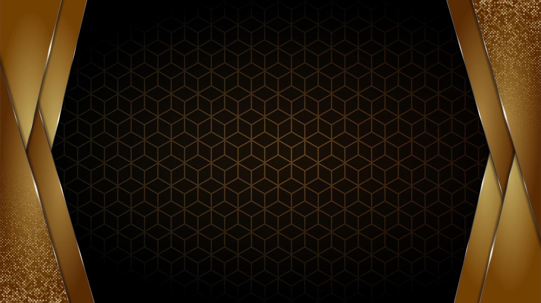 Black and Gold luxury background vector