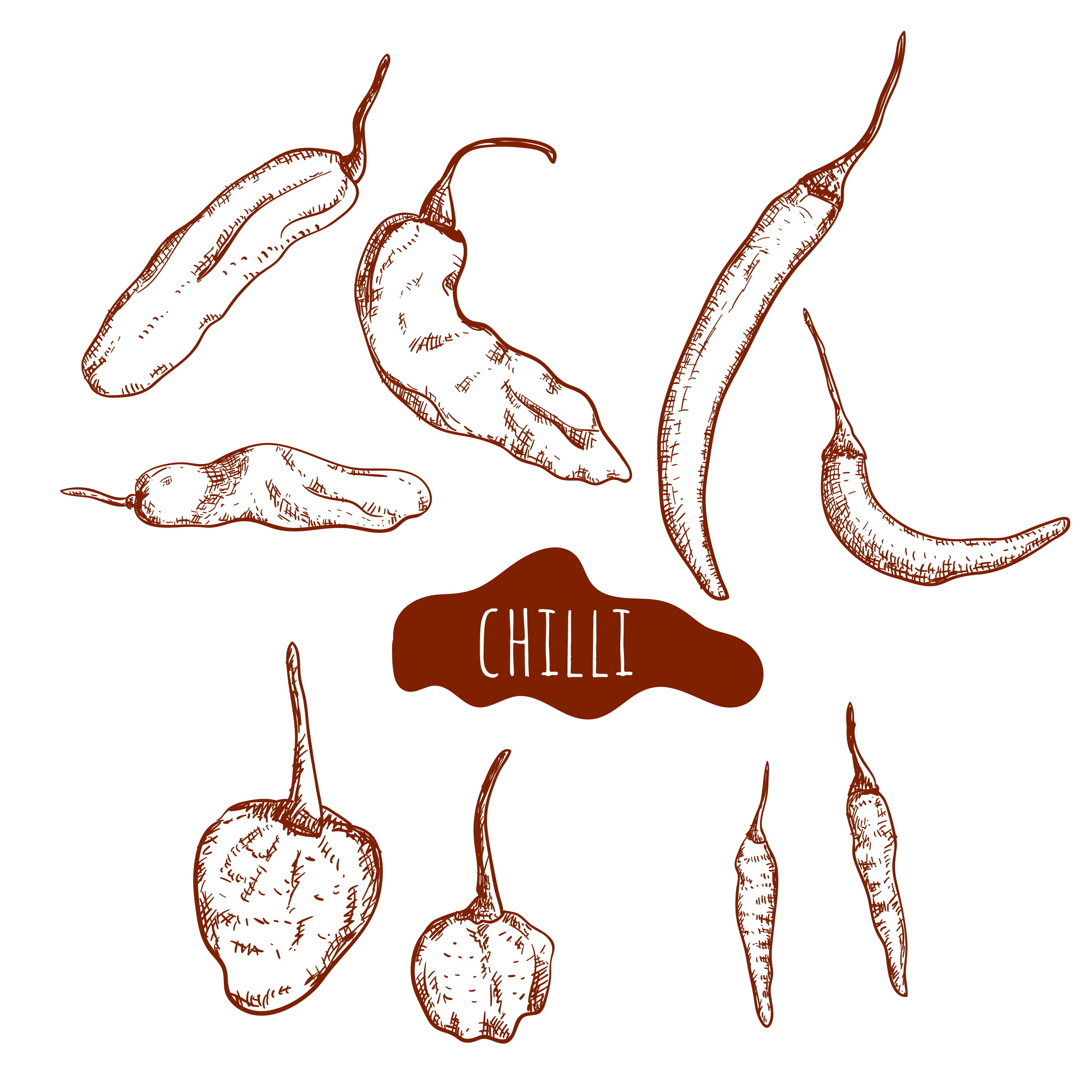 Chili pepper hand drawn set 1103085 Vector Art at Vecteezy