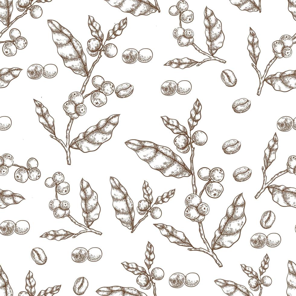 Coffee hand drawn seamless pattern vector