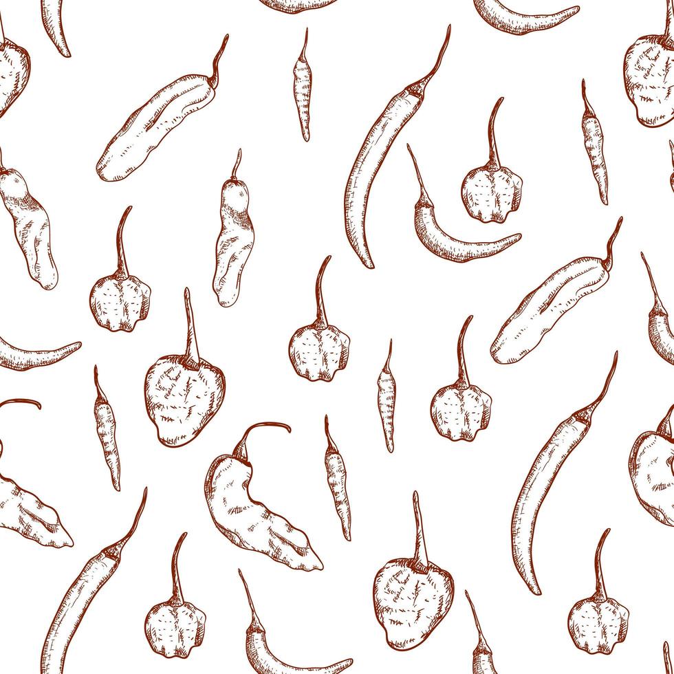 Chili pepper hand drawn seamless pattern vector