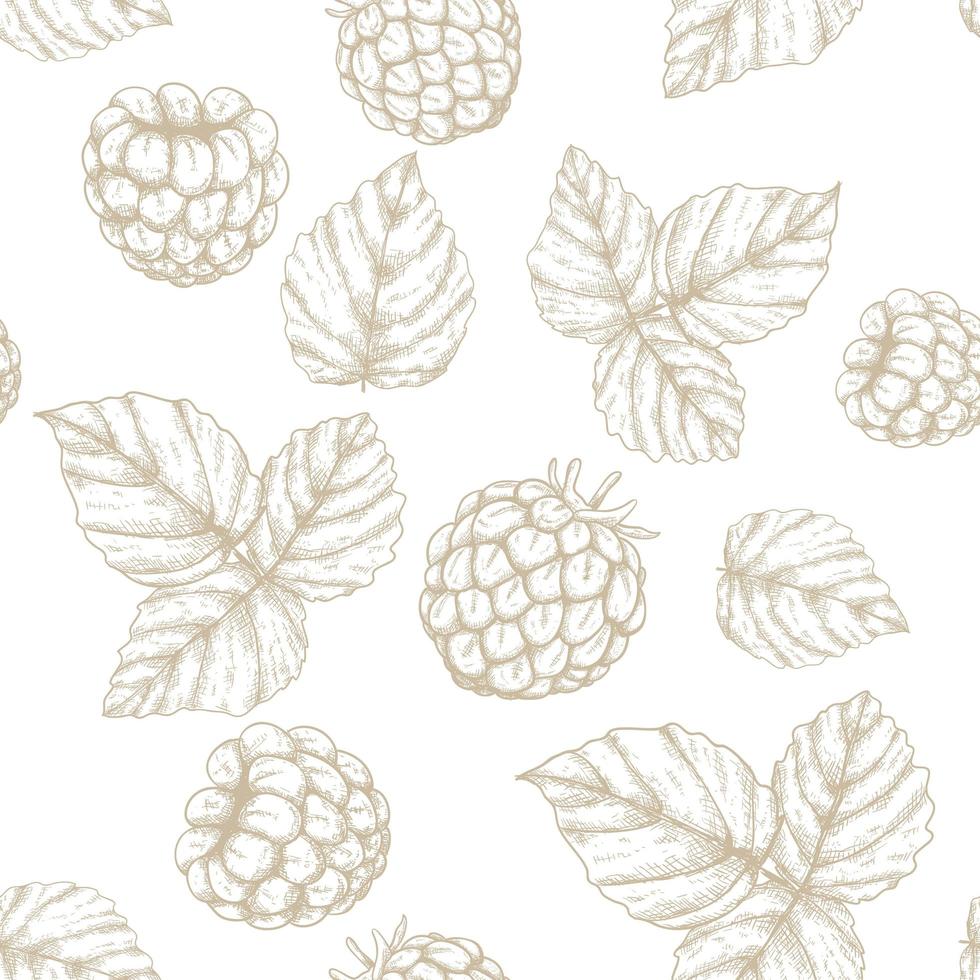 Raspberry hand drawn seamless pattern vector