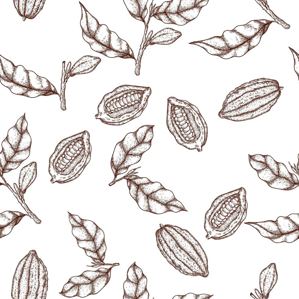 Cacao hand drawn seamless pattern vector