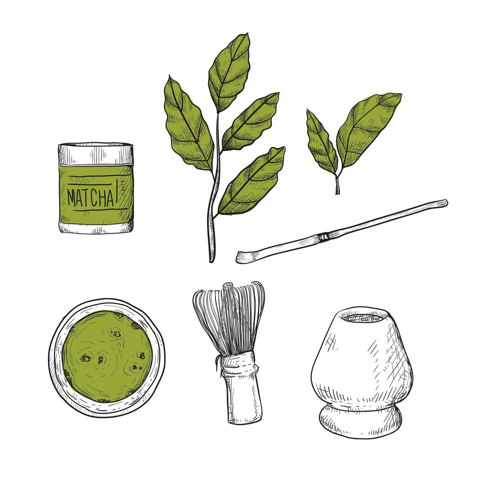 Matcha hand drawn set vector