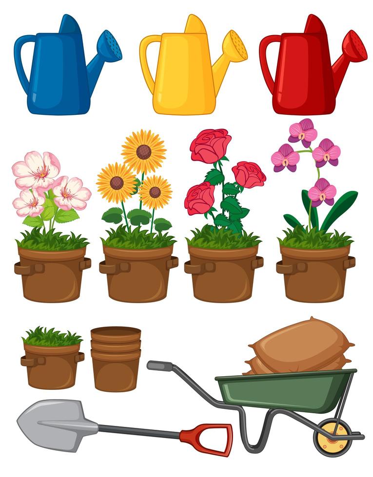 flores y herramientas de jardinería vector