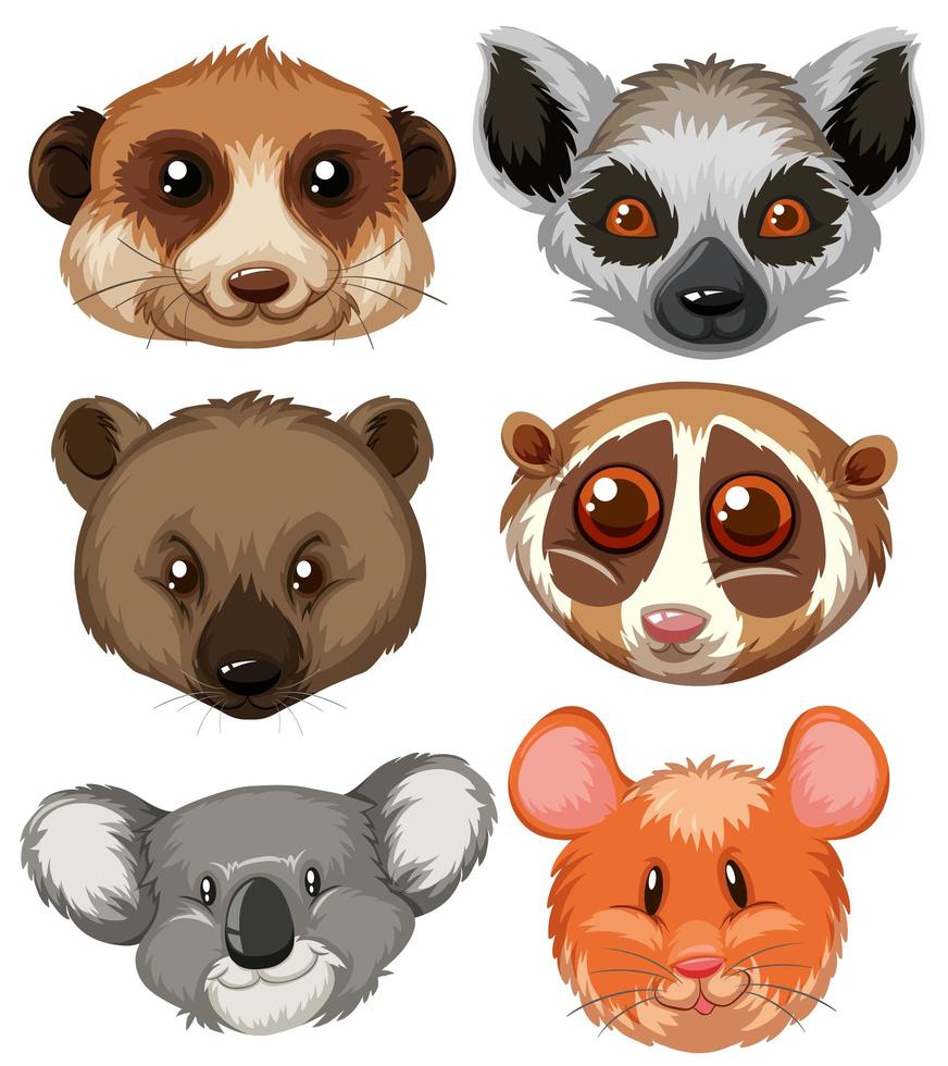 Different Animal Heads vector