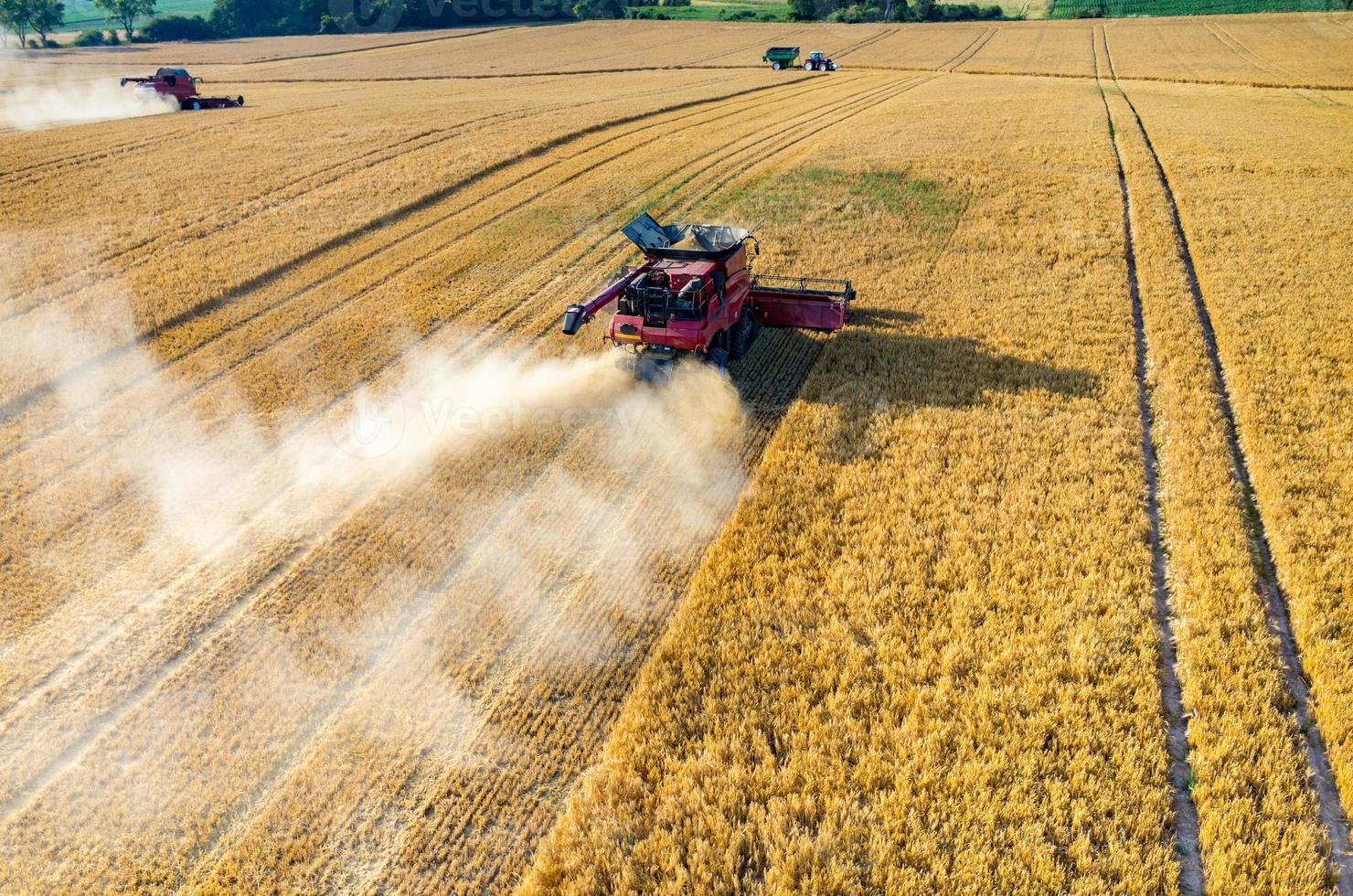 combines-and-tractors-working-on-the-wheat-field-photo