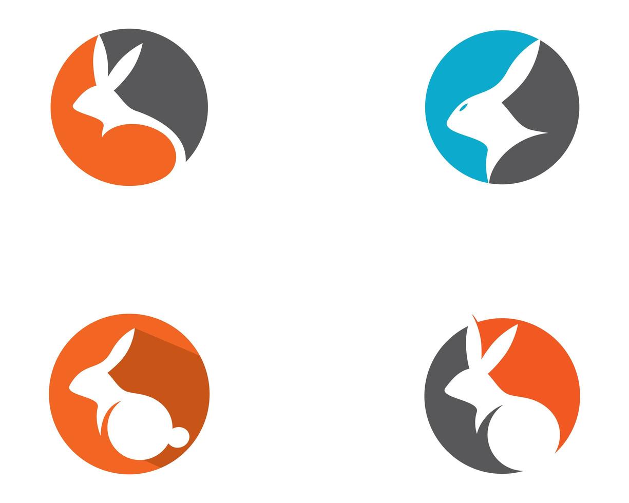 Rabbit circular logo icon set  vector