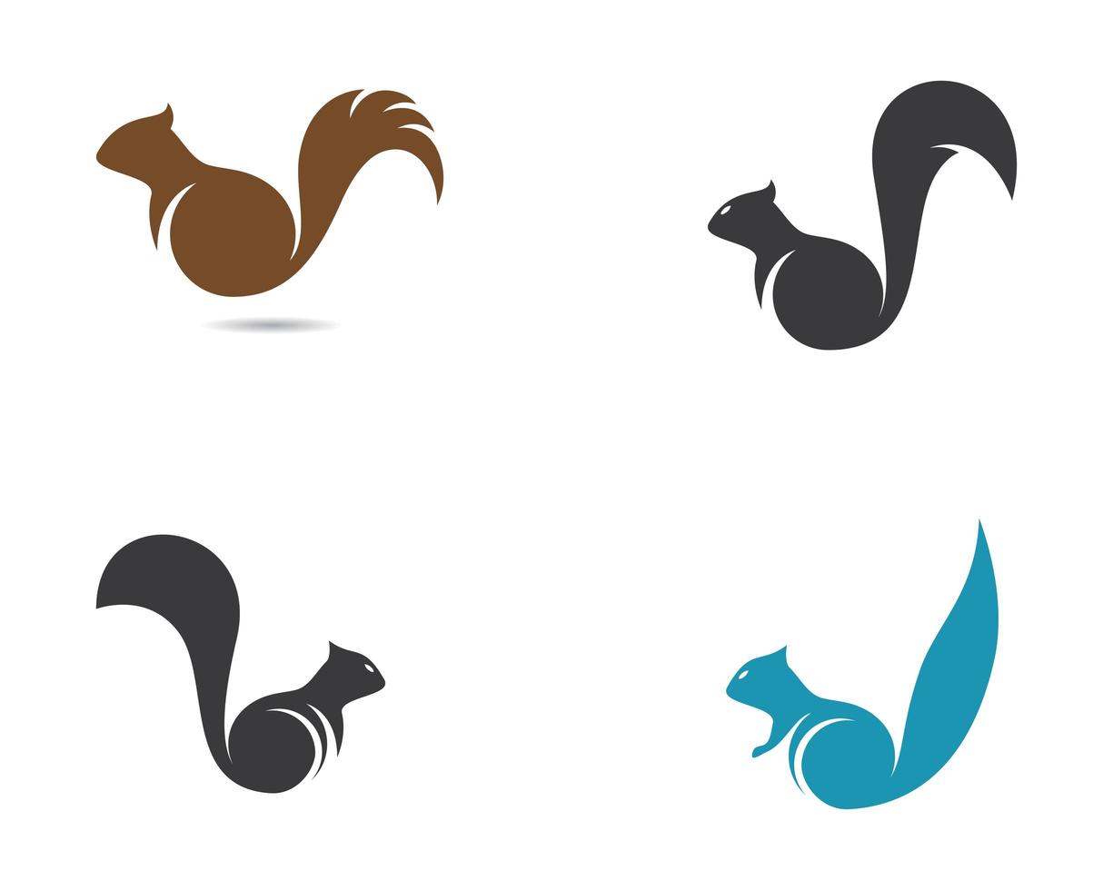 Squirrel icon set isolated on white vector