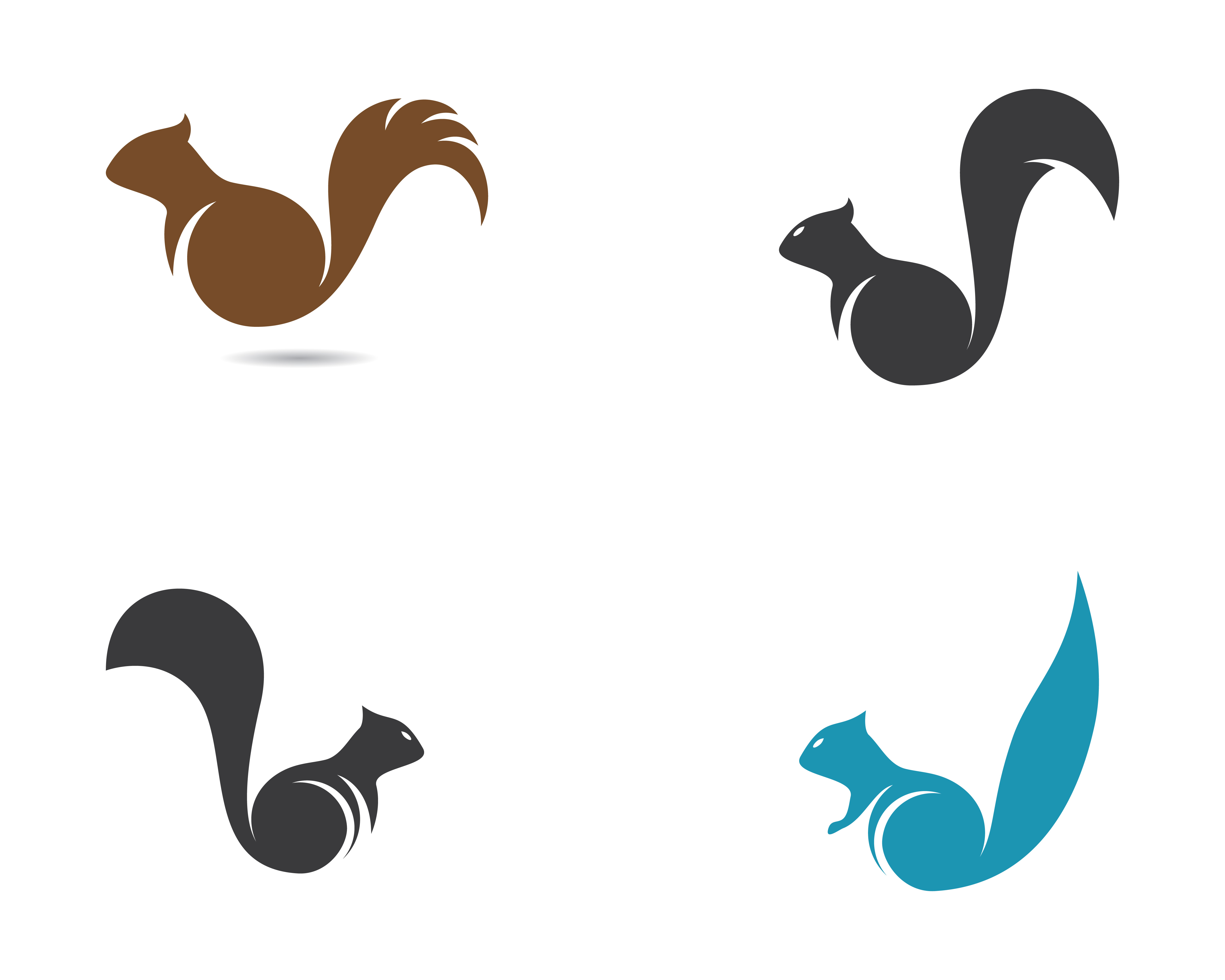 Download Squirrel icon set isolated on white - Download Free ...