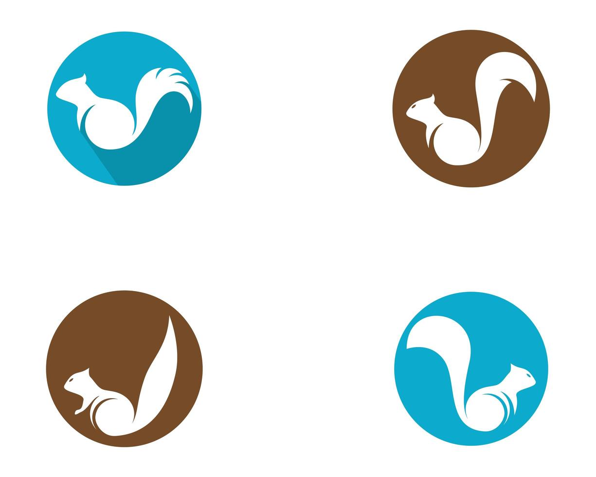 Circular squirrel icon set  vector