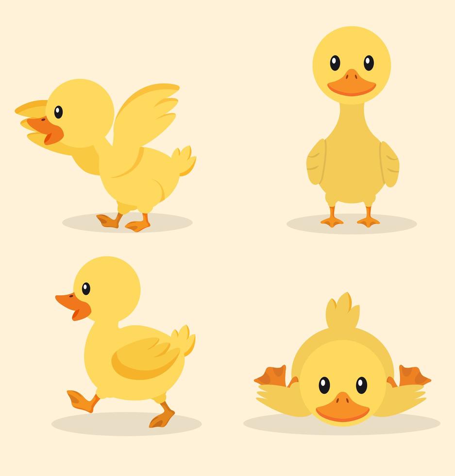 conjunto de pato amarillo vector