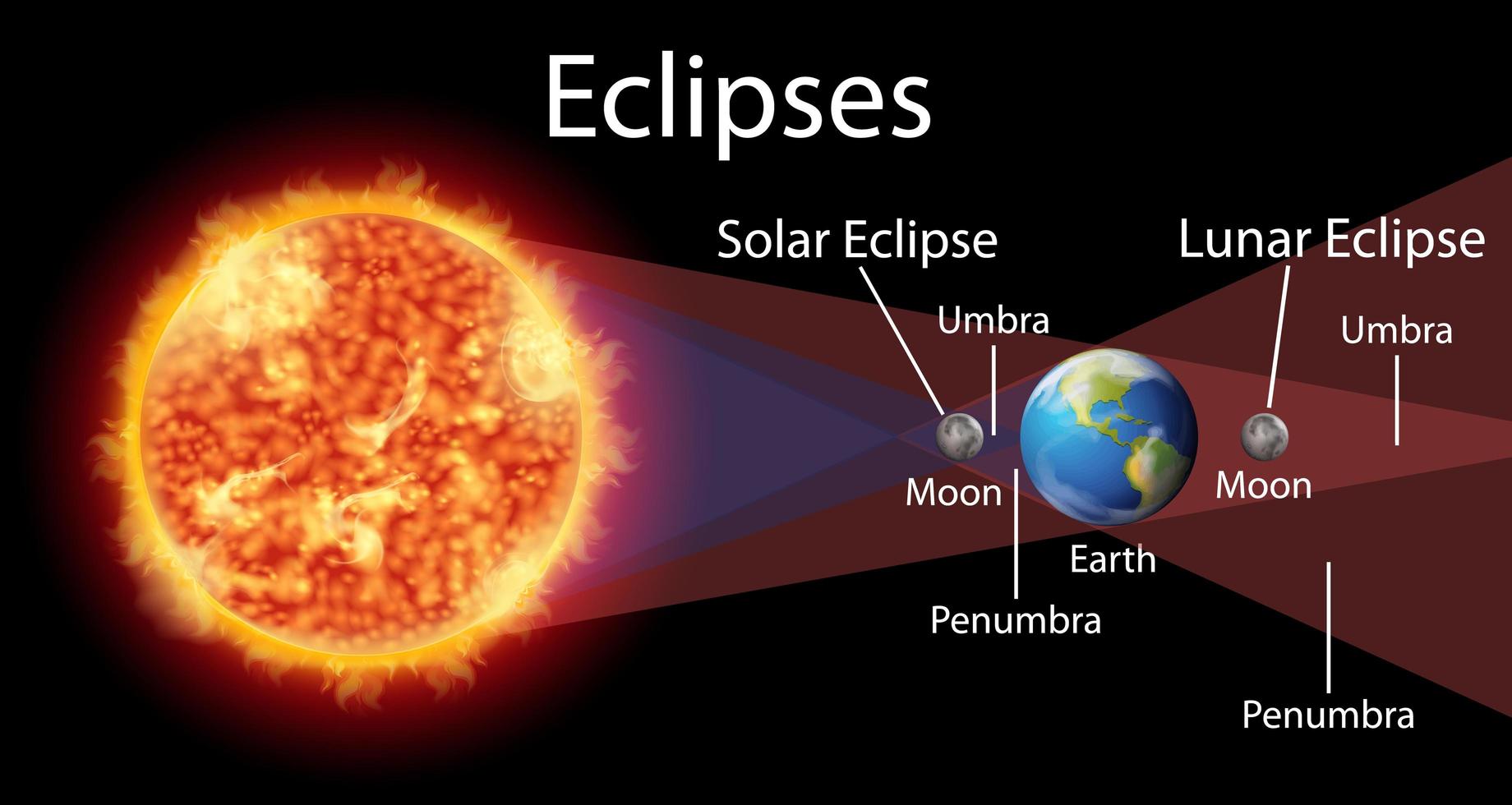 Diagram showing eclipses with sun and earth vector