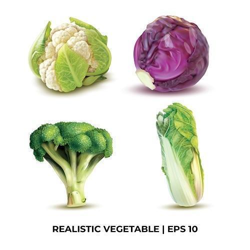 Realistic Vegetable Design Template. vector