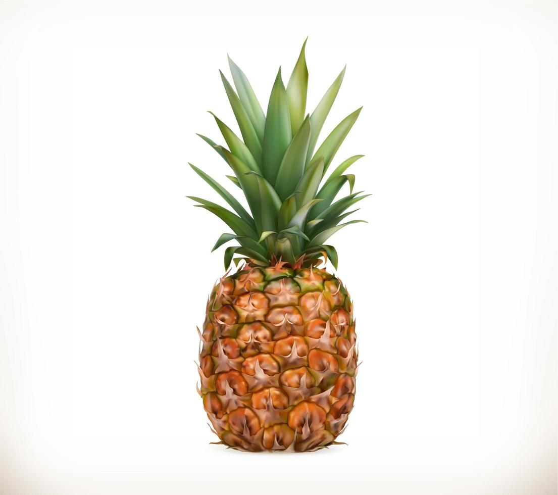 diseño realista de piña vector