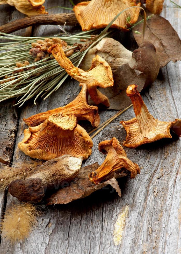 Dried Mushrooms photo