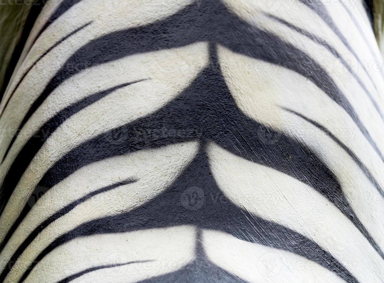 texture of tiger fur from stone photo