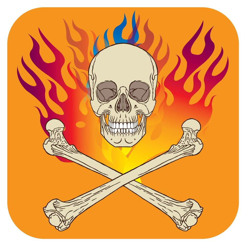 Skull flame icon orange vector