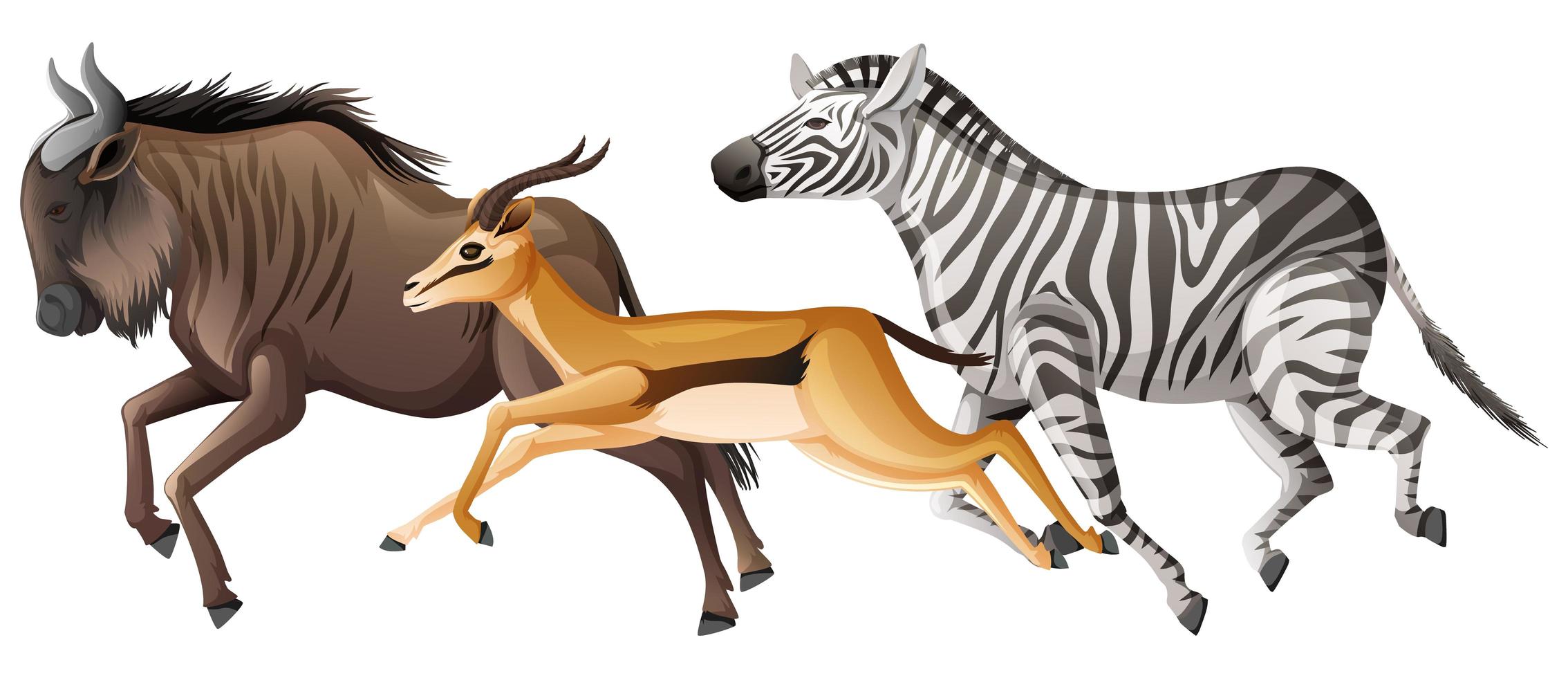 Grupo de animales de la sabana africana corriendo vector
