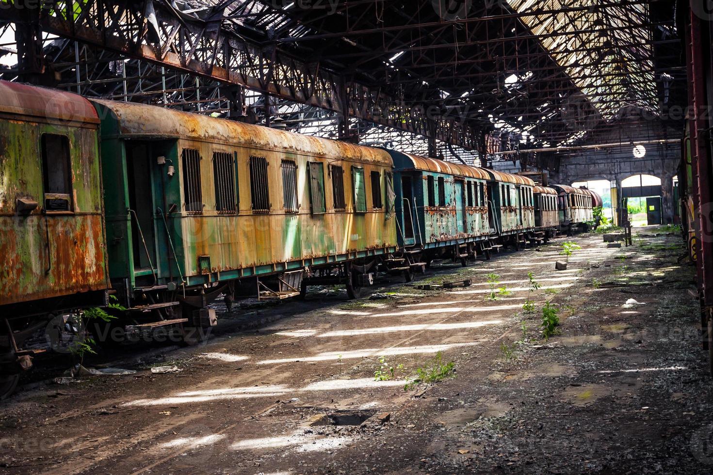Old trains at abandoned train depot photo