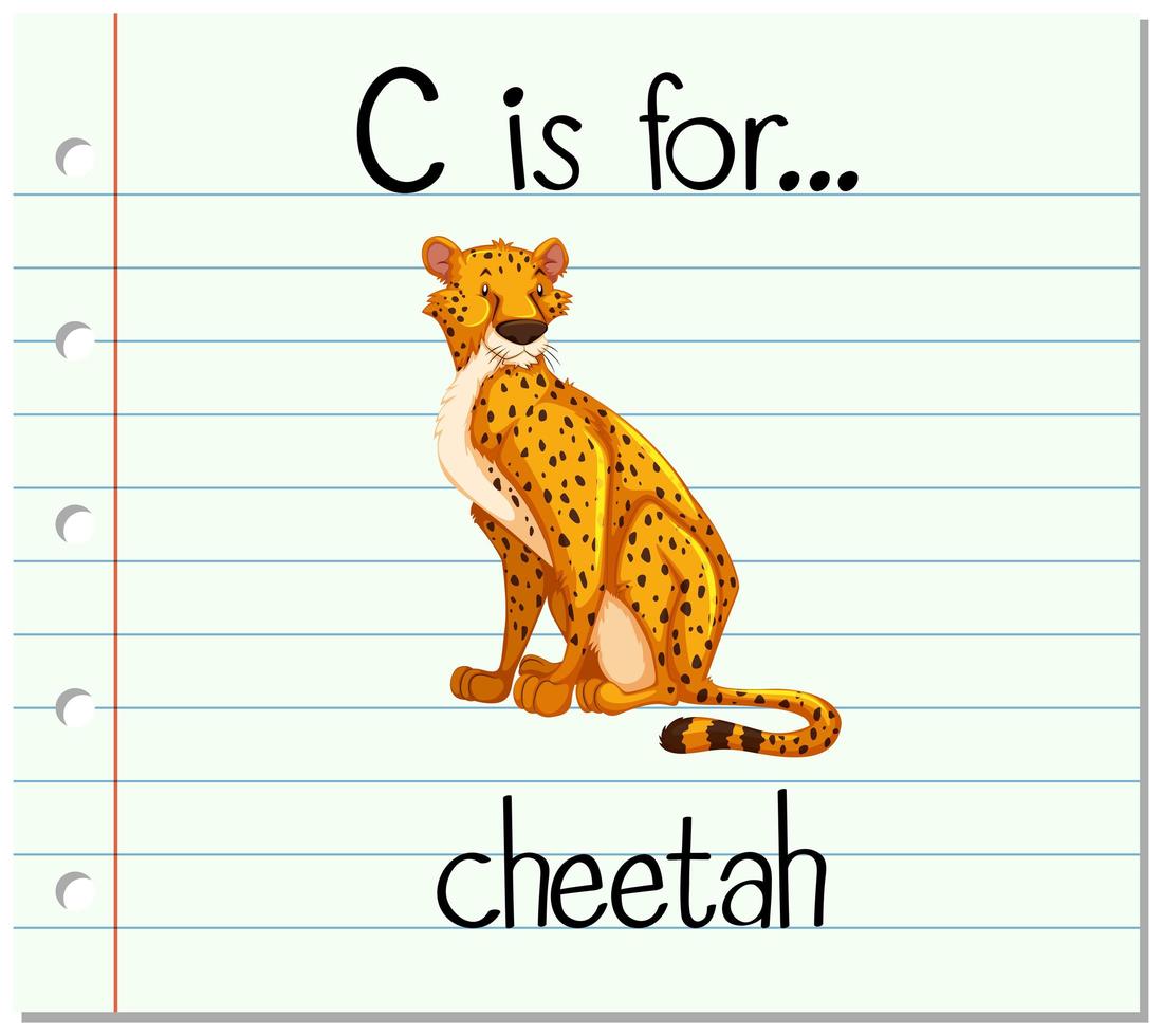 Flashcard letter C is for cheetah vector