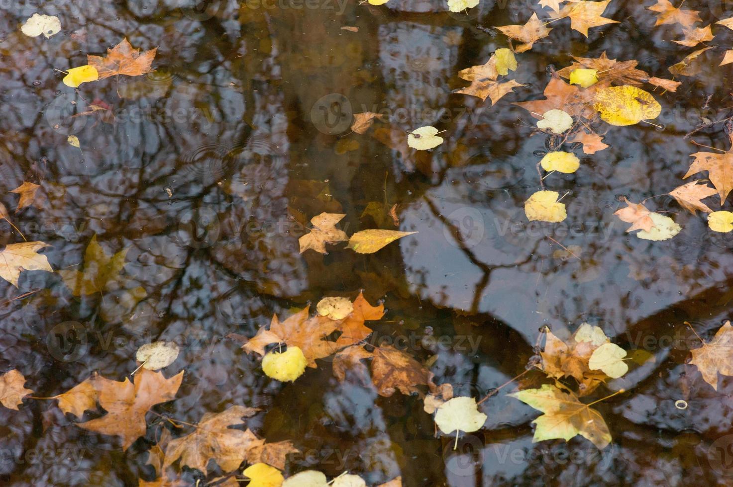 reflexiones de otoño 1157787 Foto de stock en Vecteezy reflexiones de otoño 1157787 Foto de stock en Vecteezy