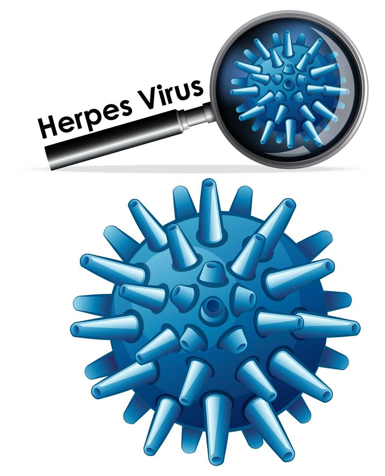 virus del herpes de cerca vector
