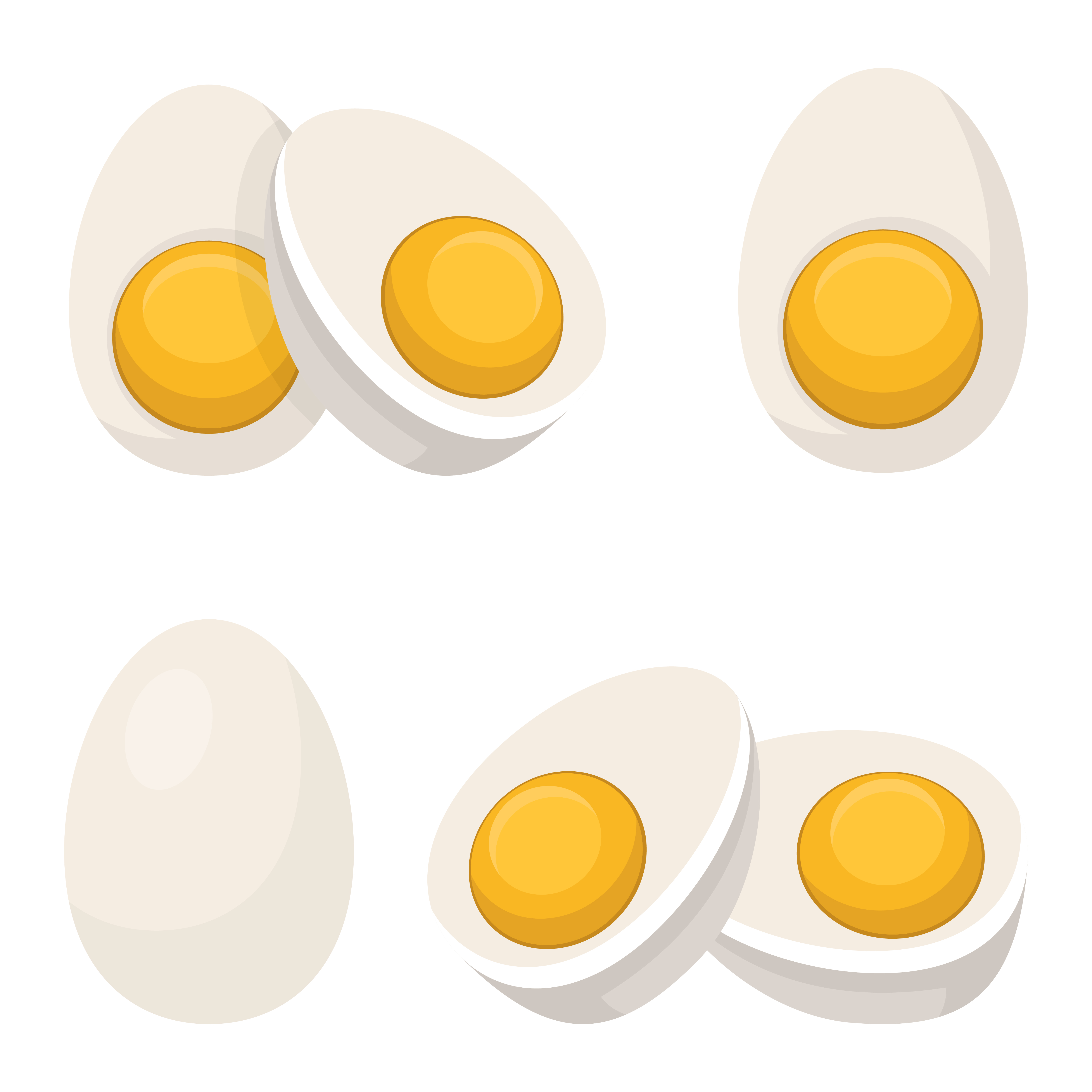 Boiled Egg Vector Art, Icons, and Graphics for Free Download