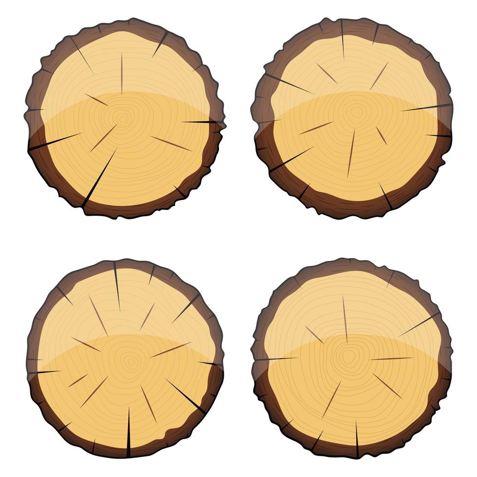 Cross section of wooden tree isolated on white background vector