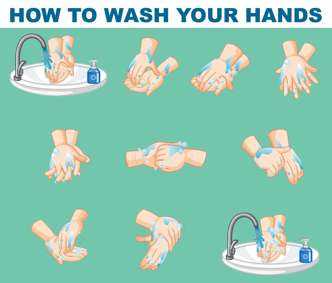 Poster design for how to wash your hands vector