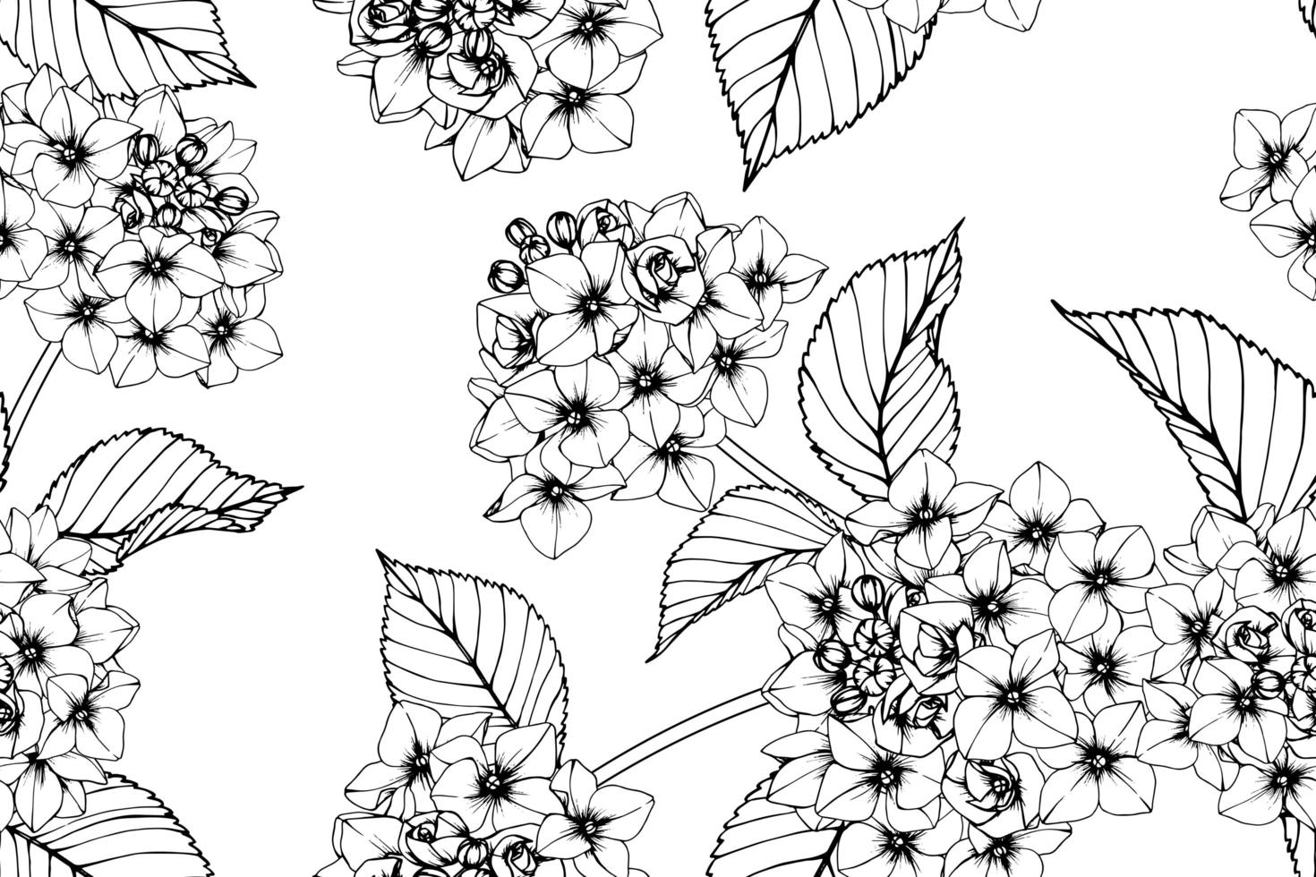 Hortensia dibujada a mano botánica de patrones sin fisuras vector