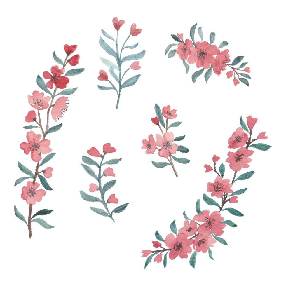 Set of watercolor cherry blossom spring flower set vector