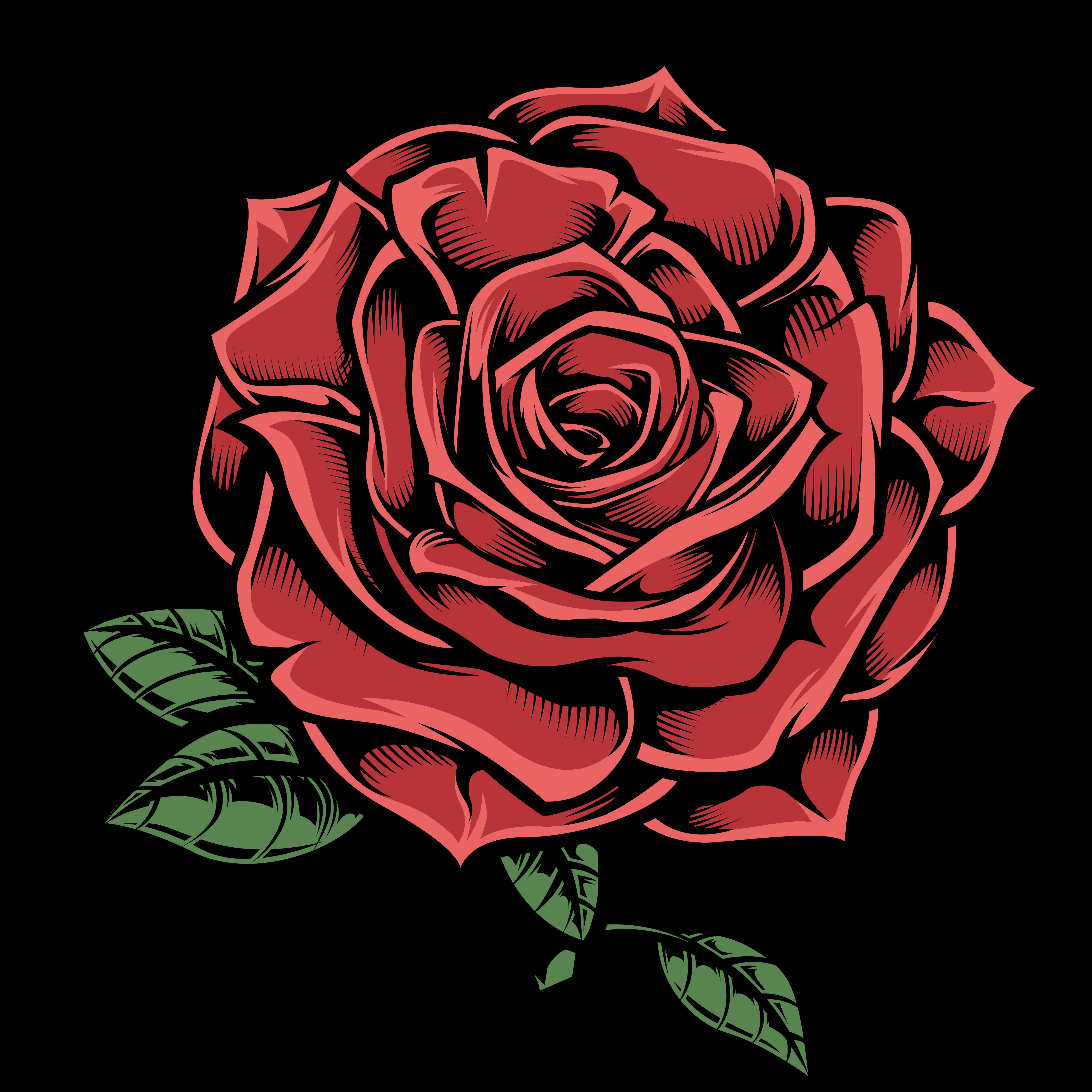 Dibujado A Mano Rosa Roja Sobre Negro 1180603 Vector En Vecteezy