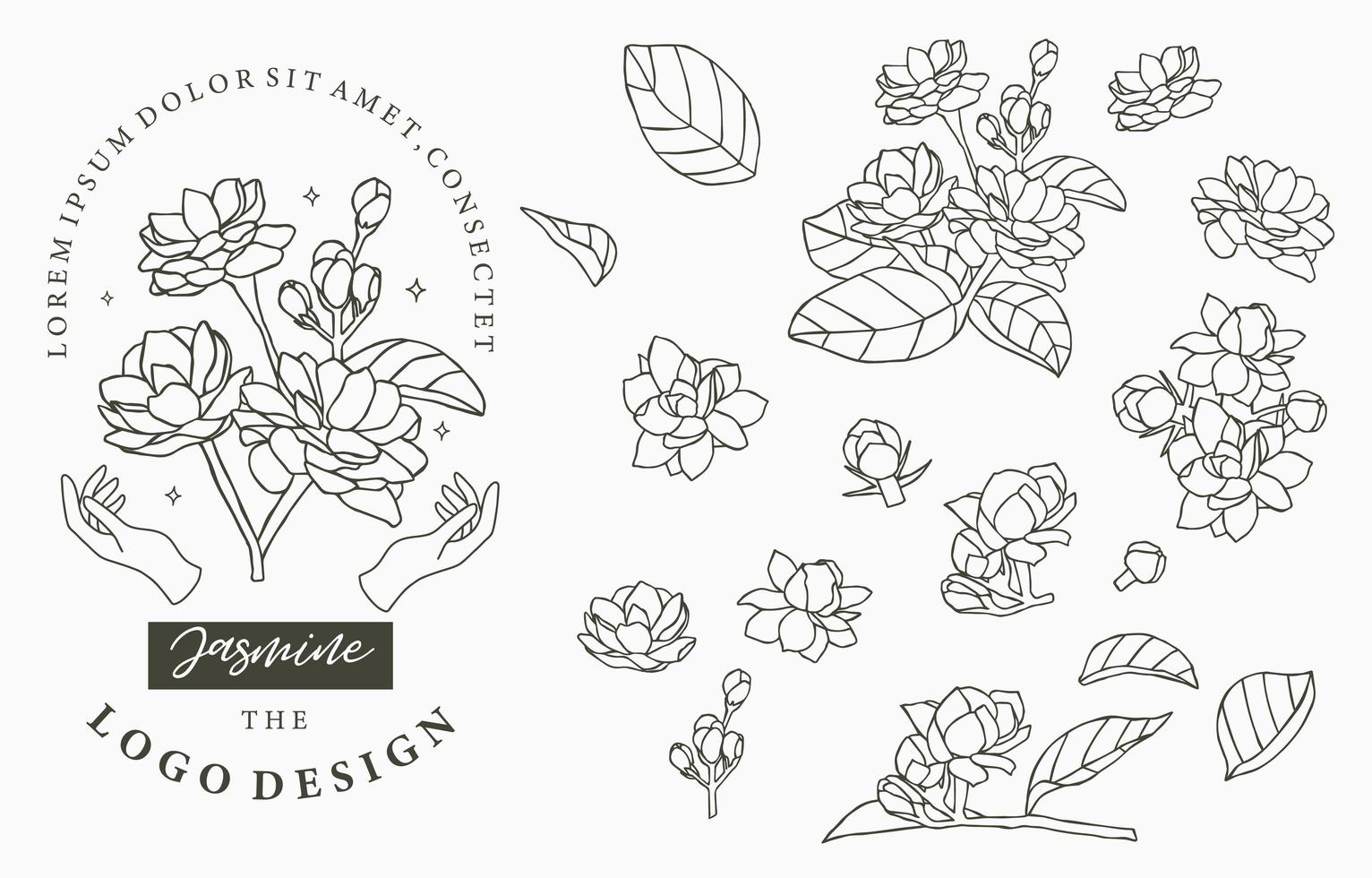 Outline style Jasmine flowers and leaves set vector