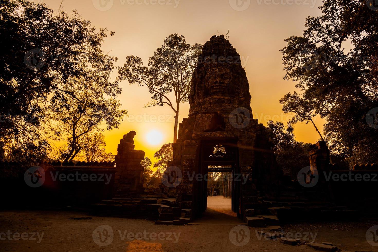 Ta Prohm temple Angkor Wat photo