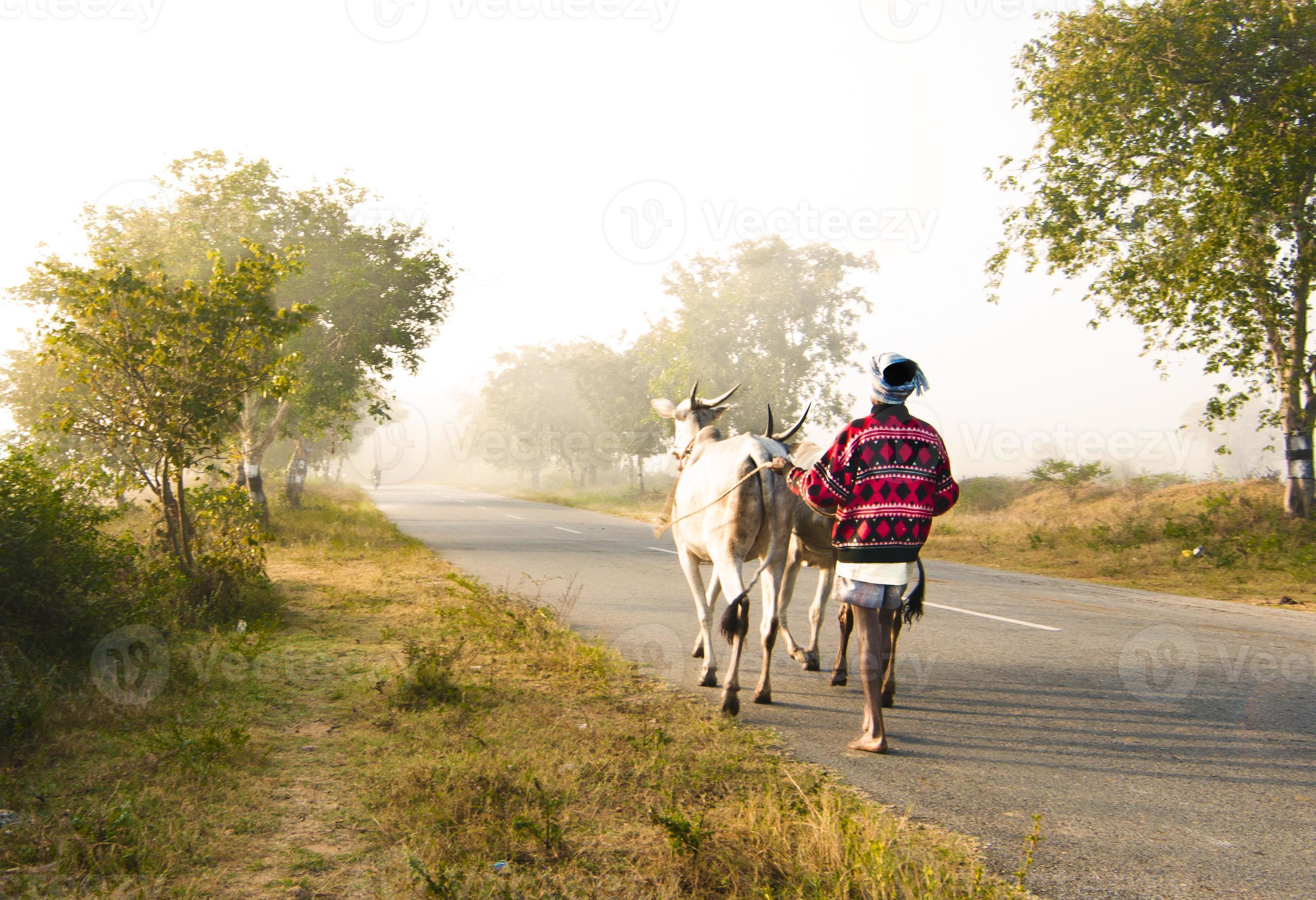 Indian Village Road 1182665 Stock Photo At Vecteezy