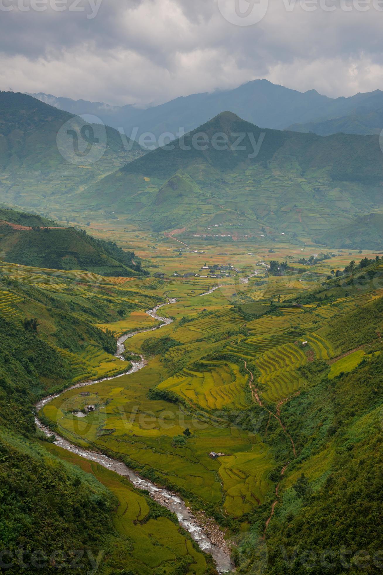 The Beauty Of Vietnam During Golden Rice Season | Origin 