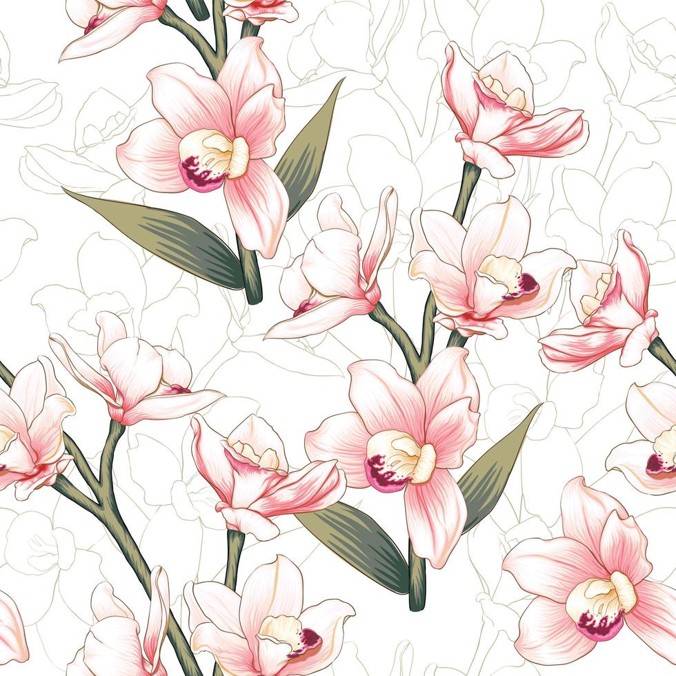 Pattern of botanical pink Orchid flowers  vector