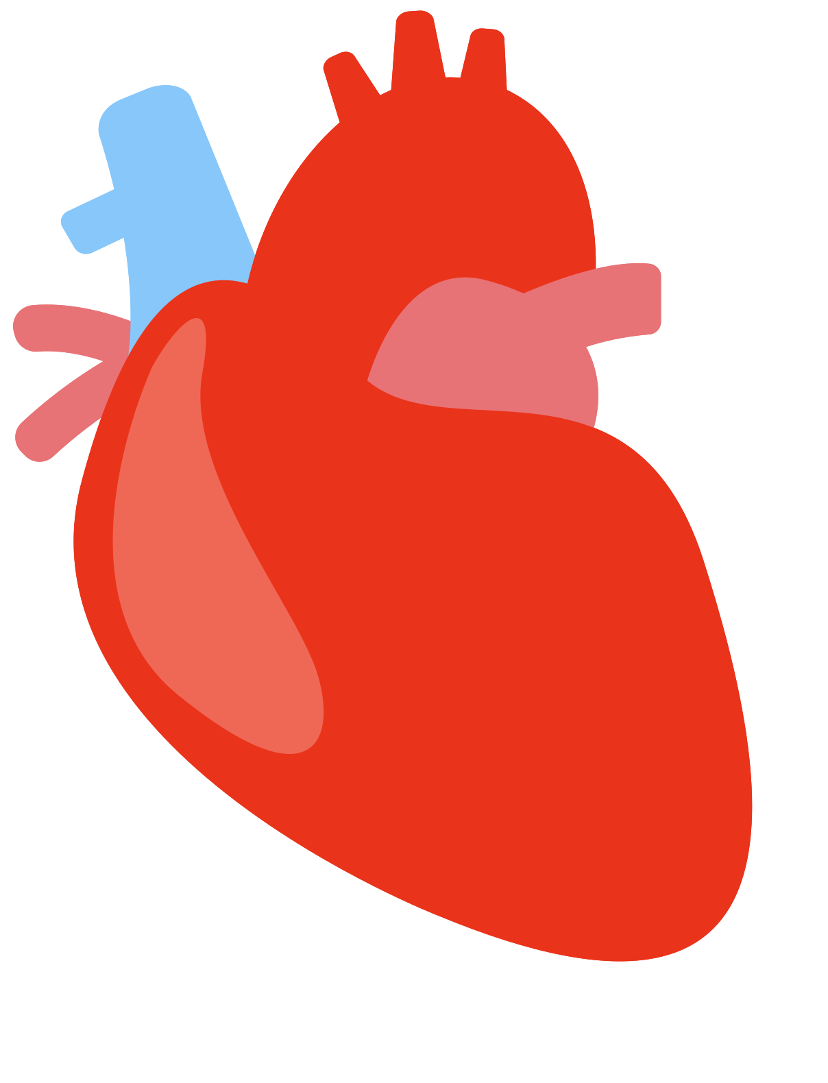 Human Heart Png Free Images With Transparent Background 1320 Free