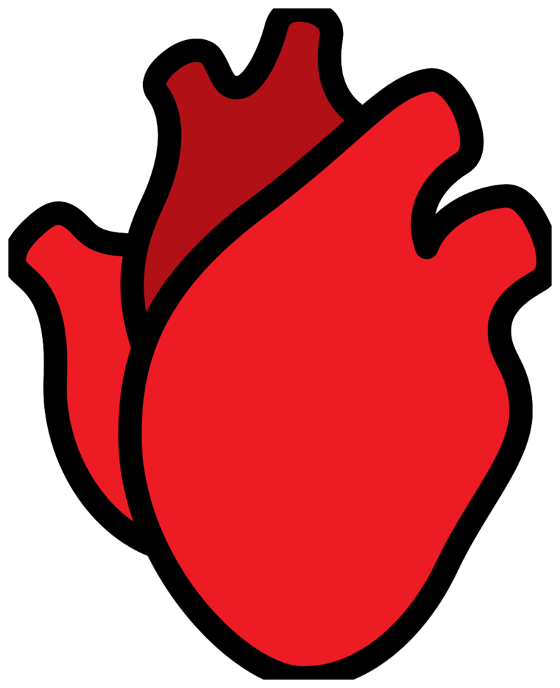 corazón humano png