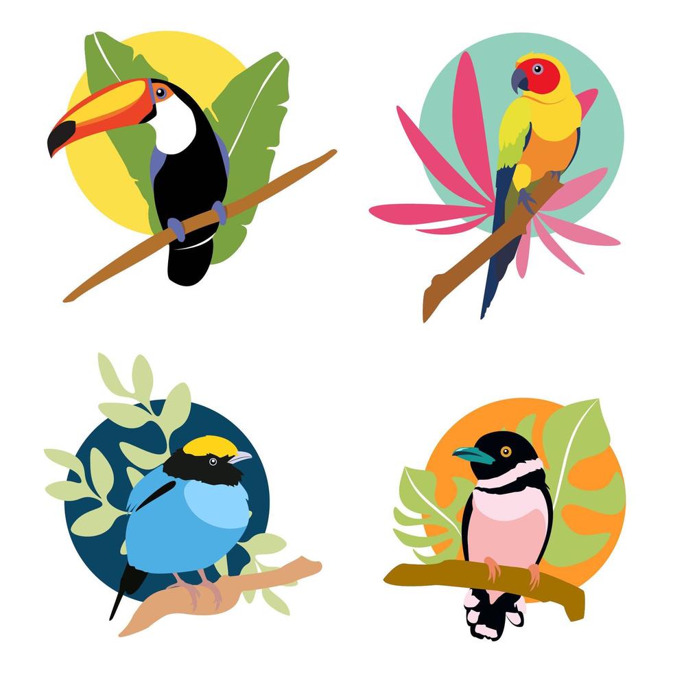 composición de pájaros y hojas tropicales vector