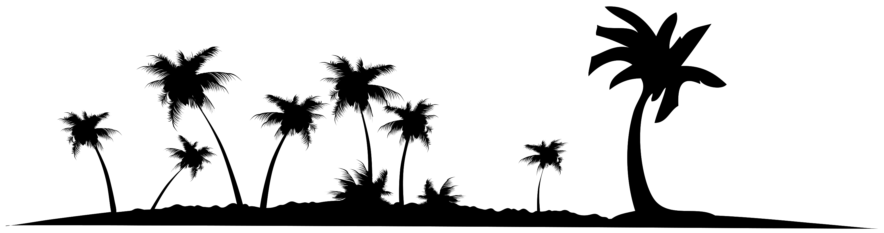 Free Palm Trees Png With Transparent Background