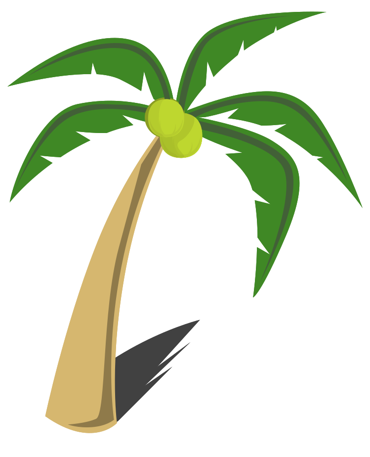 Kokosnussbaum png